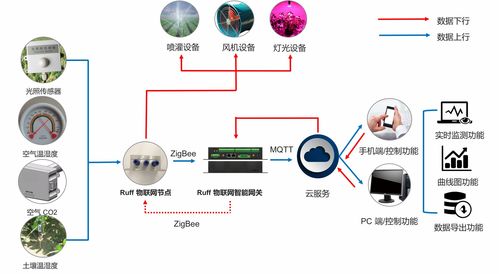 物聯網技術在智慧農業中的核心應用與服務體系